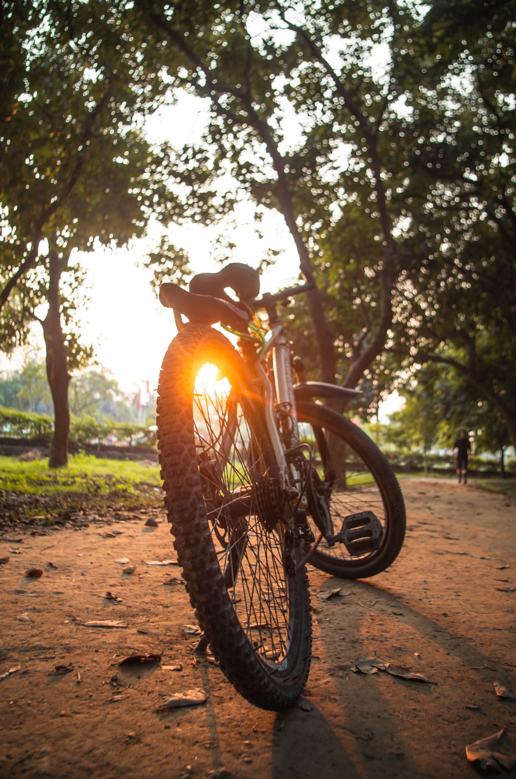 E-Bikes sind Umweltfreundlich