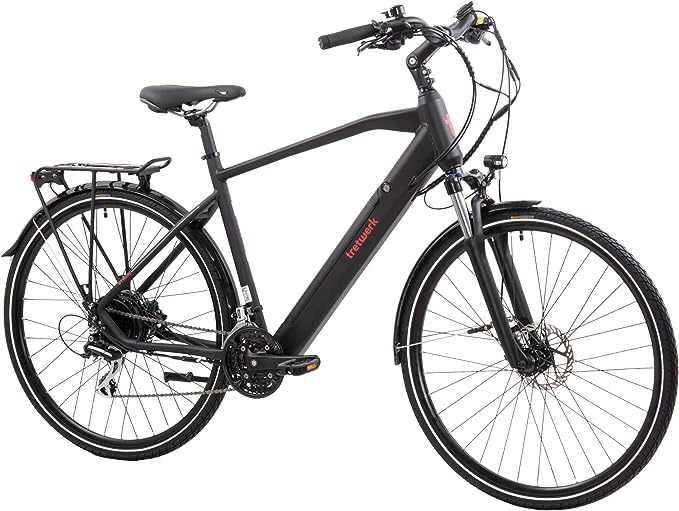 TRETWERK - 28 Zoll E-Bike Herren Pedelec - Bronx 5.0 - E-Trekkingbike und Herrenfahrrad